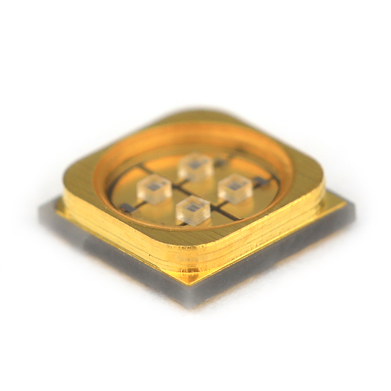5050Piatto-P20